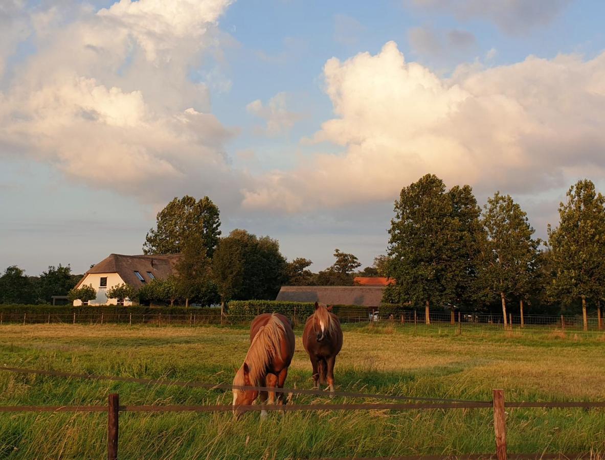 B&B De Scherpenhof Leur Exterior photo